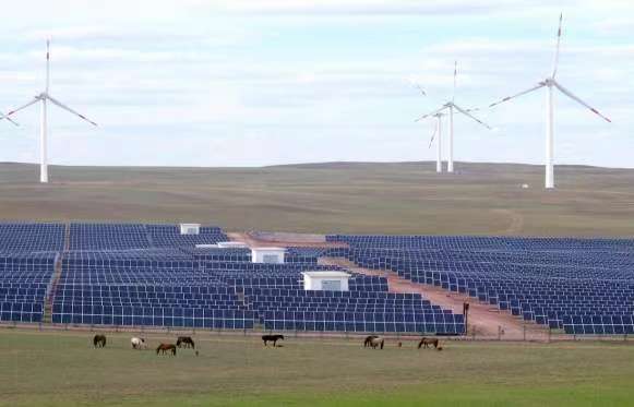 国寿资产创新党建与投资融合模式，引领企业管理新篇章